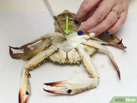 Image intitulée Cook a Crab Step 3