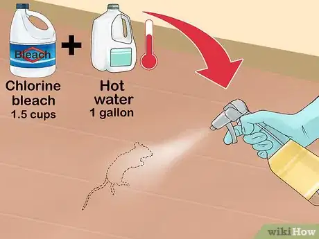 Image intitulée Clean Rat Droppings Step 14