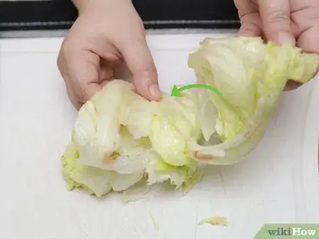 Image intitulée Shred Lettuce Step 20