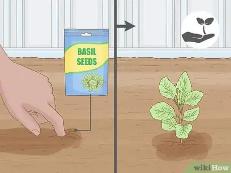 Image intitulée Grow an Herb Garden Indoors Year Round Step 5