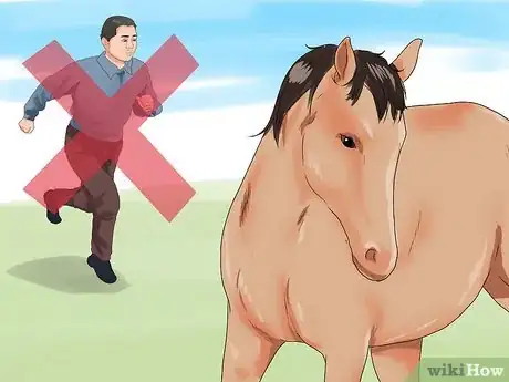 Image intitulée Approach Your Horse Step 15