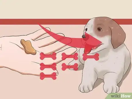 Image intitulée Teach Your Puppy to Lie Down Step 12