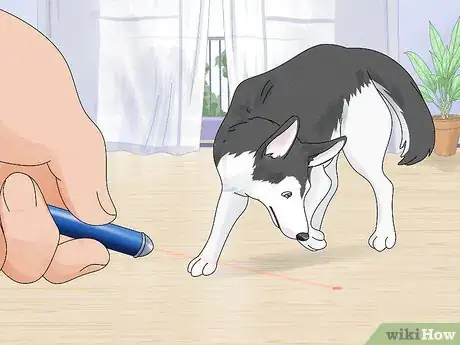 Image intitulée Entertain Your Dog Step 15