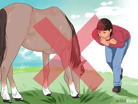 Image intitulée Approach Your Horse Step 17