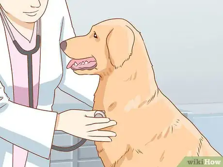 Image intitulée Tell if Your Dog Is Depressed Step 15