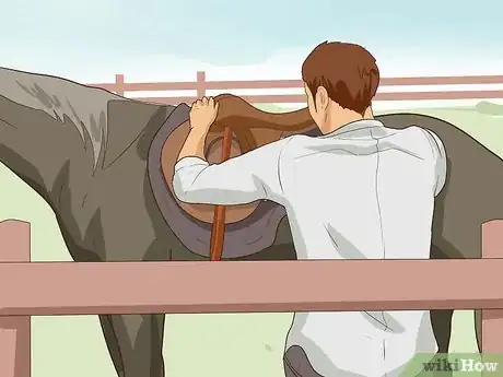 Image intitulée Break a Horse Step 24
