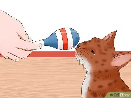 Image intitulée Stop a Male Cat from Spraying Step 8