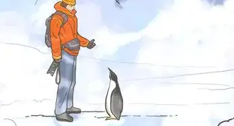 voyager en Antarctique