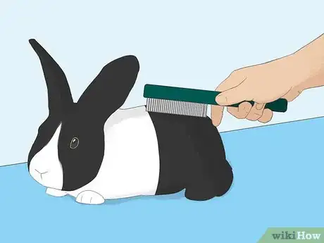 Image intitulée Bathe Your Pet Rabbit Step 13