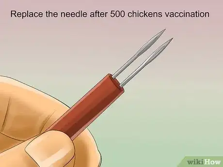 Image intitulée Vaccinate Chickens Step 43