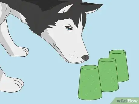 Image intitulée Keep Your Dog Calm After Neutering Step 9