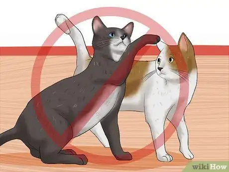 Image intitulée Care for a Cat with Feline Leukemia Step 15