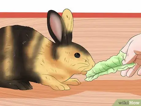 Image intitulée Treat Heat Stroke in Rabbits Step 19