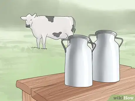Image intitulée Have a Pet Cow Step 2