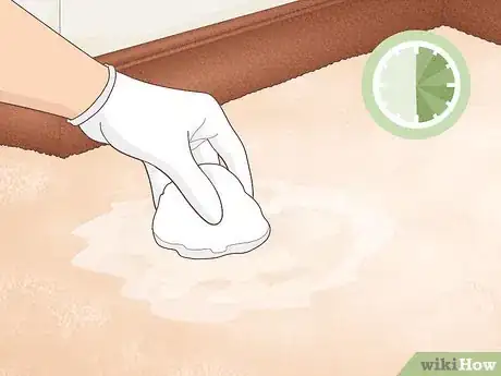 Image intitulée Remove Permanent Hair Dye from Carpets Step 15