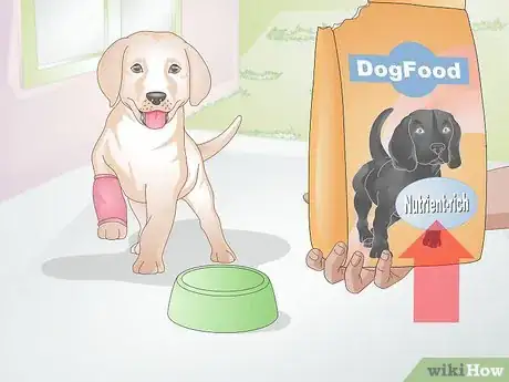 Image intitulée Feed a Dog Step 15