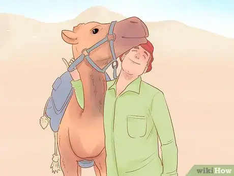 Image intitulée Buy a Camel Step 9