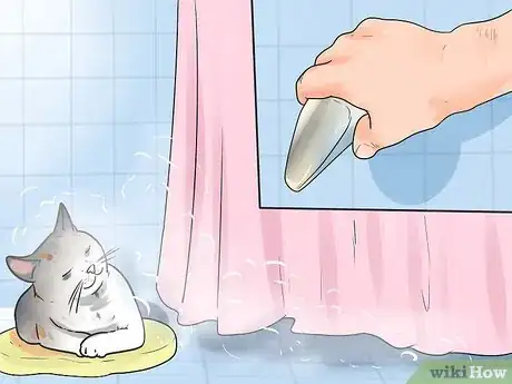 Image intitulée Help Your Cat Breathe Easier Step 10