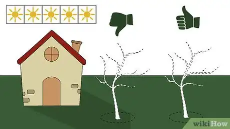 Image intitulée Grow Crabapple Trees Step 5