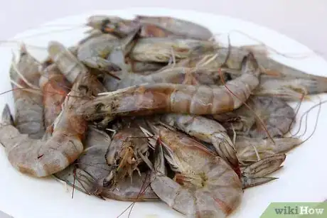 Image intitulée Freeze Shrimp Step 13