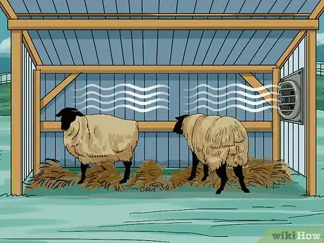 Image intitulée Care for Sheep Step 4