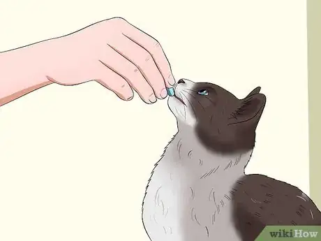 Image intitulée Give a Cat Medicine Step 7