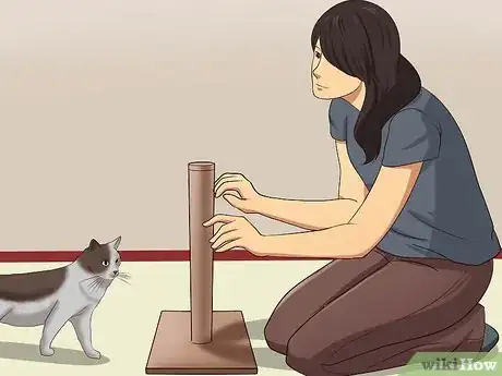 Image intitulée Stop a Cat from Clawing Furniture Step 5