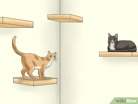 Image intitulée Stop a Male Cat from Spraying Step 5