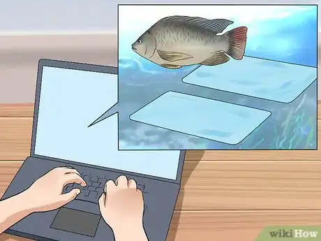Image intitulée Start a Fish Hatchery Step 9