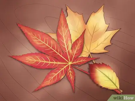 Image intitulée Preserve Fall Leaves Step 1