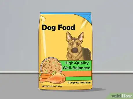 Image intitulée Keep a Dog in Good Health Step 1