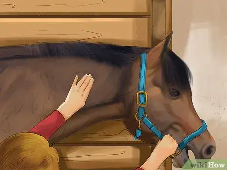 Image intitulée Bond With Your Horse Using Natural Horsemanship Step 7