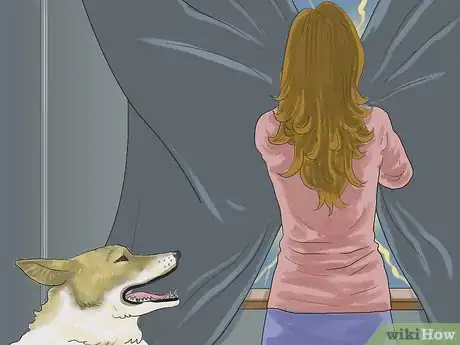 Image intitulée Calm a Dog During Thunderstorms Step 6