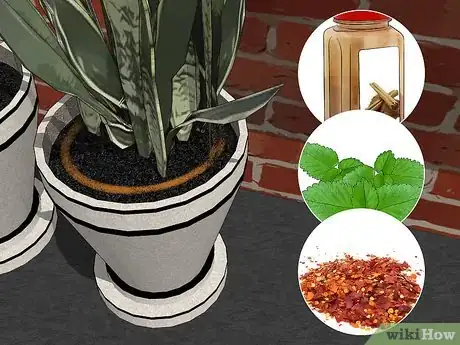 Image intitulée Remove Ants from Potted Plants Step 14