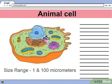 Image intitulée Make a Model Cell Step 3