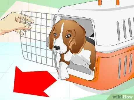 Image intitulée Keep Your Dog Calm Outside His Crate Step 12