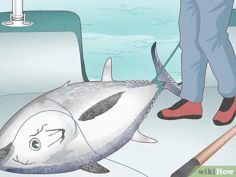 Image intitulée Catch Bluefin Tuna Step 16