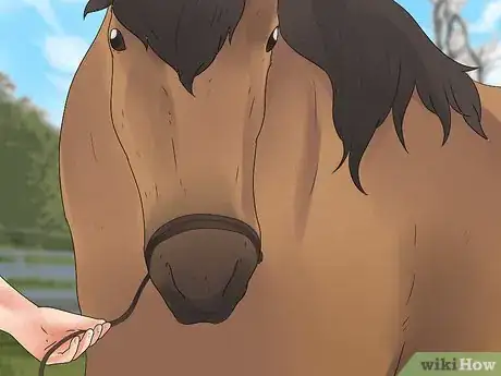Image intitulée Be Safe Around Horses Step 16