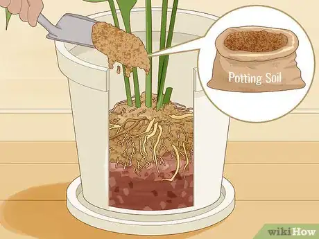 Image intitulée Save an Overwatered Plant Step 15