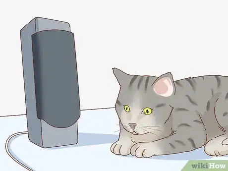 Image intitulée Tell if Your Cat Is Depressed Step 12