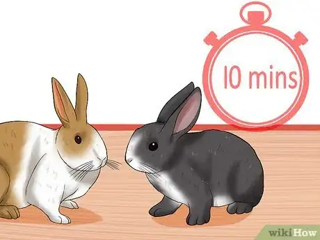 Image intitulée Introduce Rabbits Step 9