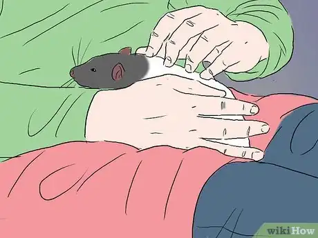 Image intitulée Tame a Rat Step 12