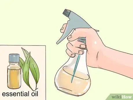 Image intitulée Remove the Smell of Burnt Food from Your Home Step 12