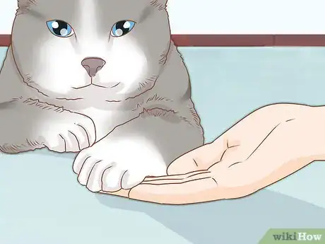 Image intitulée Trim Your Cat's Nails Step 2