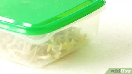 Image intitulée Freeze Bean Sprouts Step 11