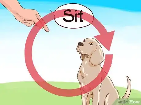 Image intitulée Love Your Dog Step 11