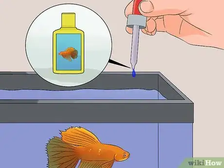 Image intitulée Save a Dying Betta Fish Step 32