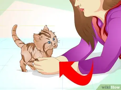 Image intitulée Get a Sick Kitten to Eat Step 14