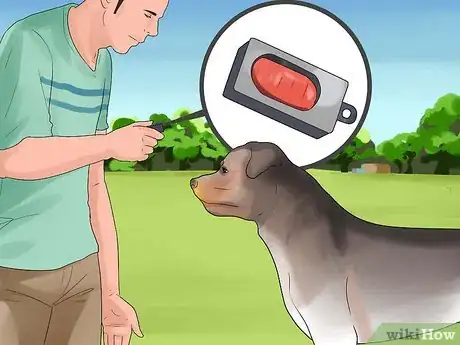 Image intitulée Train Your Dog for a Dog Show Step 7