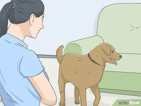 Image intitulée House Train Your Dog Step 5